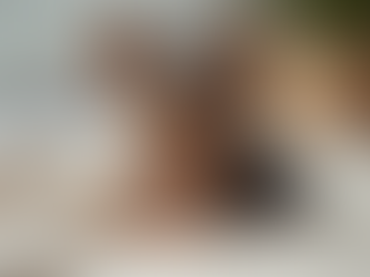 Budget-Friendly Teacup Yorkie Puppies: A Guide