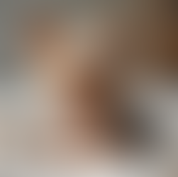 Trusted Teacup Yorkie Breeders: What to Know