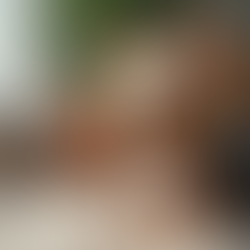 Training Your Teacup Yorkie: Tips and Tricks