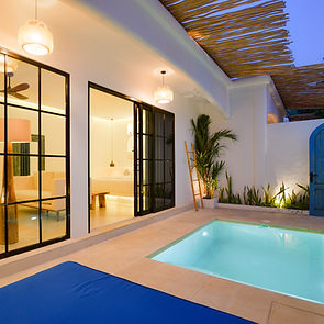 Laluphotograph Art 2247 (1)_edited.jpg