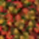 khokhloma-seamless-pattern-with-berries-and-leaves-on-black-background_105824-515.jpg