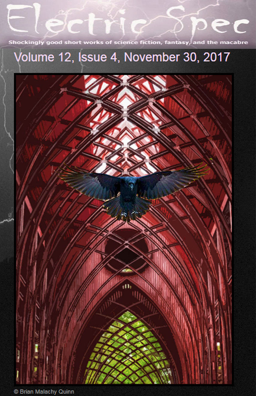 Cult of the Raven
