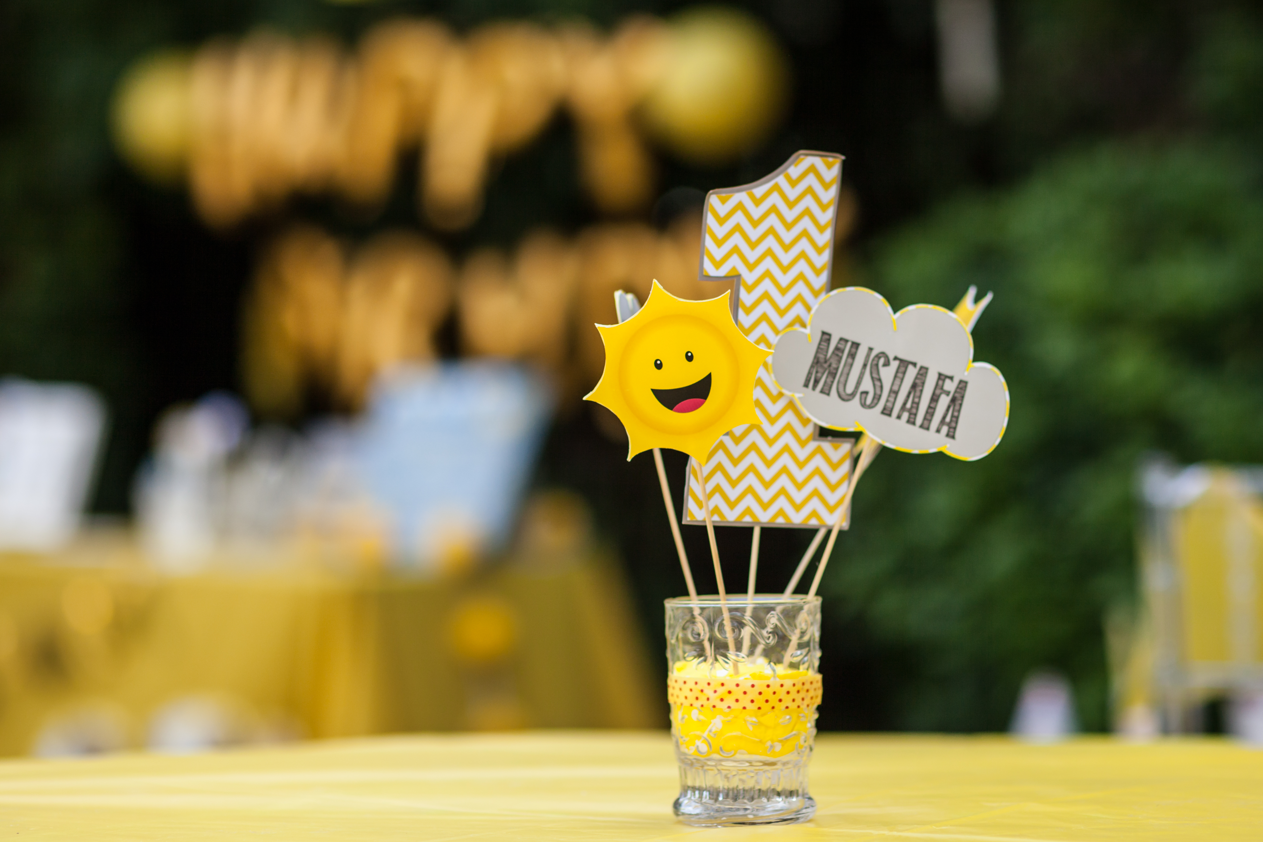 1st Birthday Party