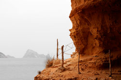 Figera Borda - Ibiza