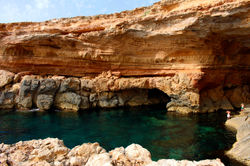 Figera Borda - Ibiza