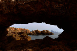 Figera Borda - Ibiza