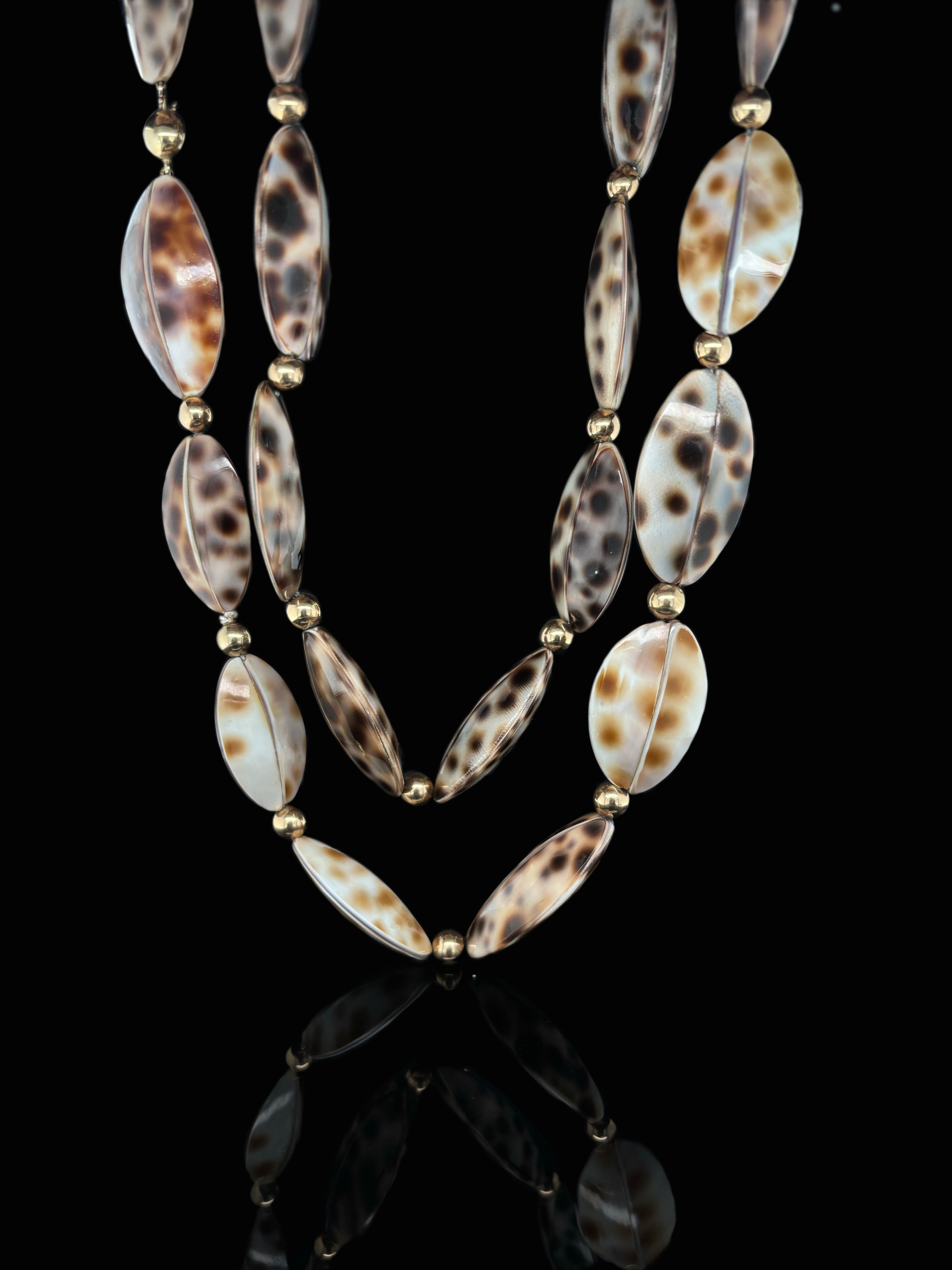 Tiger Shell