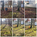 photocollage_2022129211540700.jpg
