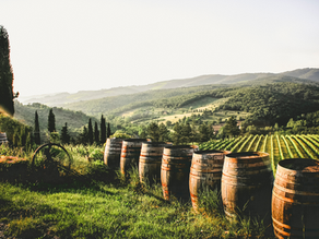 From Grape to Great: How Non-Alcoholic Wine Is Made