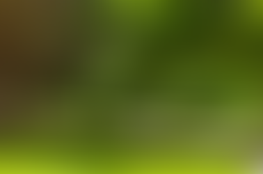 Découvrir les parcs et espaces verts de Montreuil