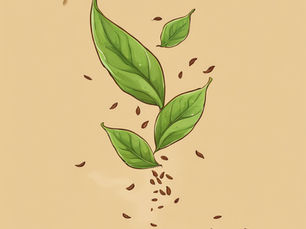 Discover the History of Chinese Loose Leaf Tea. The Big Red Robe (Da Hong Pao)