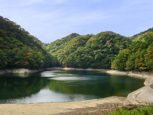 災害時等の応急対策共同訓練に参加しました