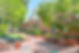 Nedlands PS Promo232.jpg
