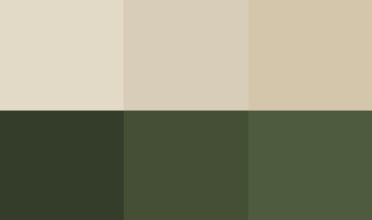 Frame 31.png
