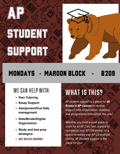 AP Student Support Flyer (3).png