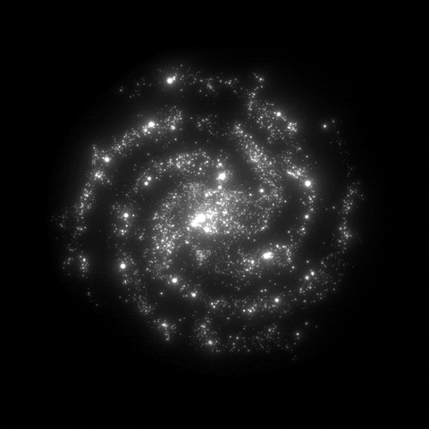 Black And White Loop GIF by xponentialdesign.gif