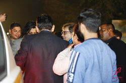 Diorama Red Carpet81