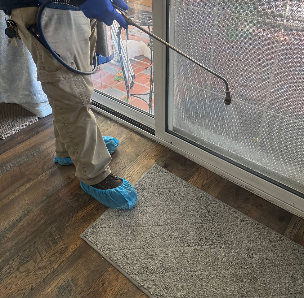 Interior treatment in Fontana, Ca using alpine wsg. 