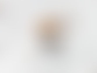 Carpet Beetle Larvae — The Real Reason Your Clothes and Carpets Are Getting Ruined