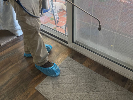 Why Alpine WSG Works So Well for Pest Control in San Bernardino Homes