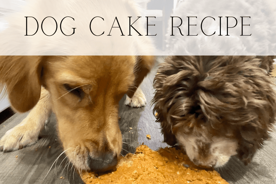 dog cake recipe