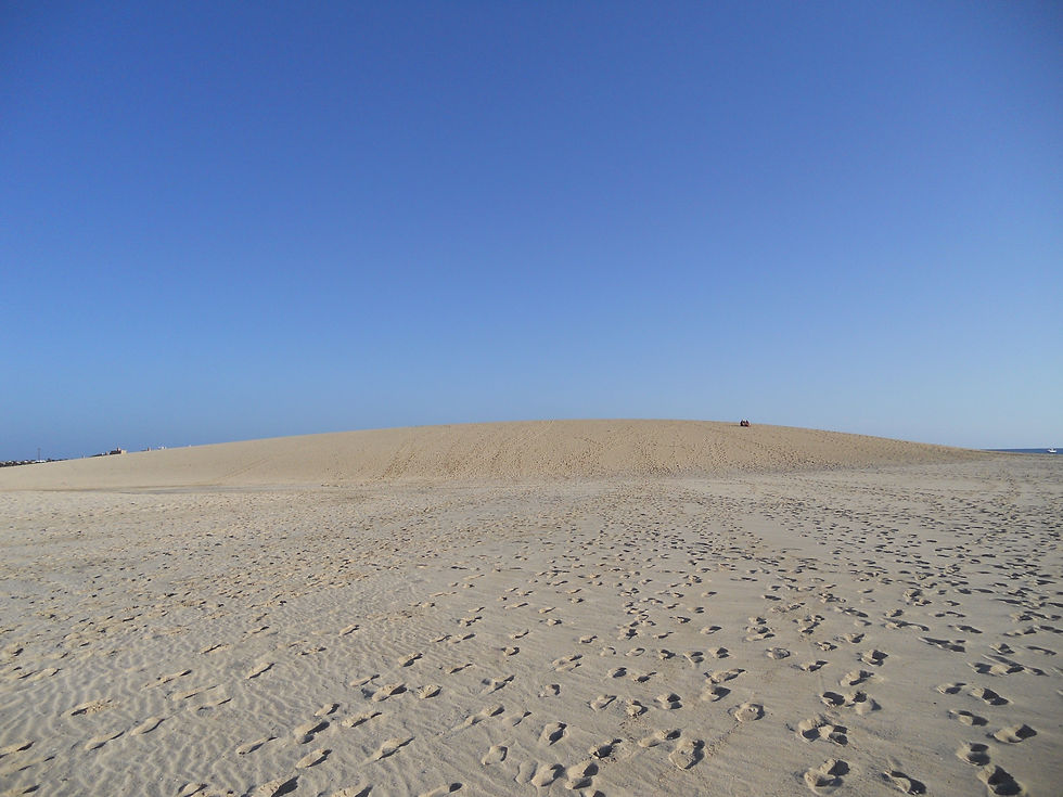 DSCN1036.JPG