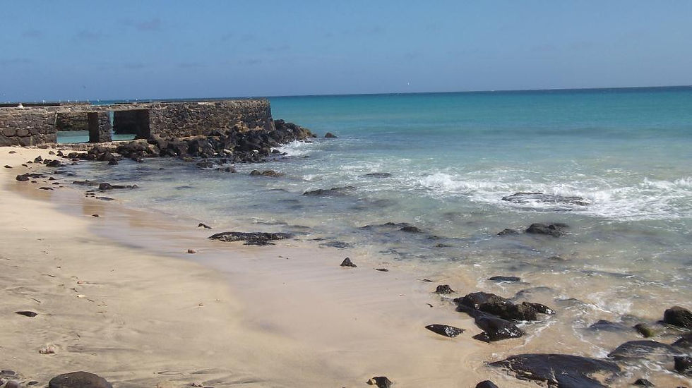 DSCF0650.JPG