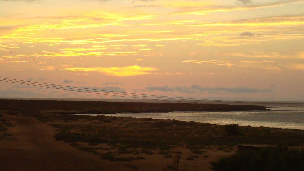 DSC07922.JPG
