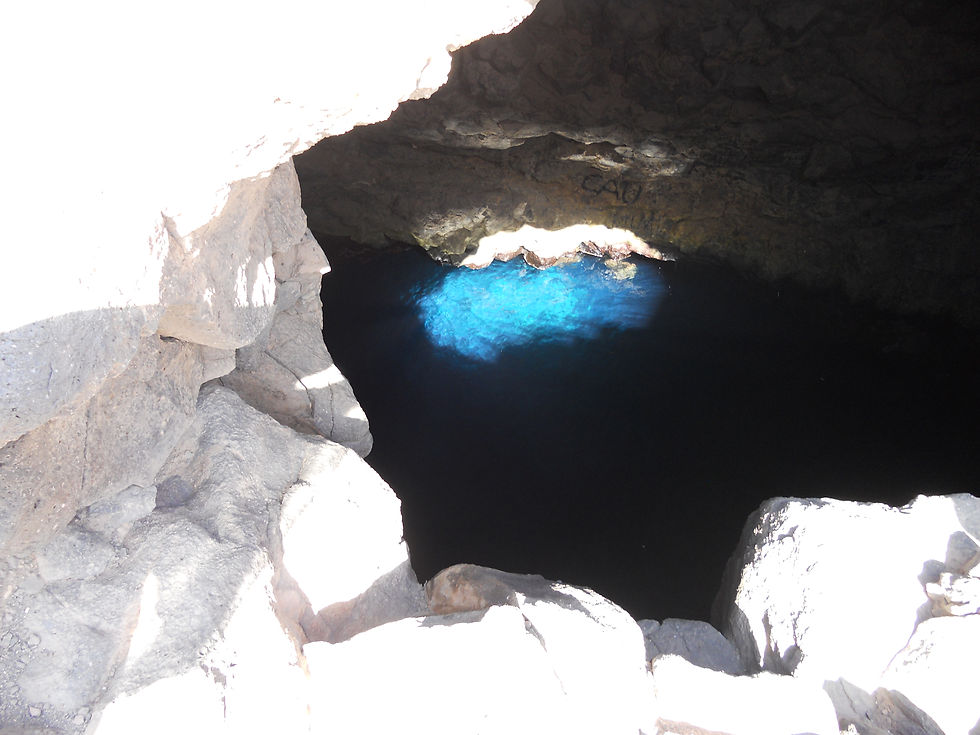 DSCN0800.JPG