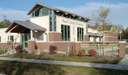veterinary design