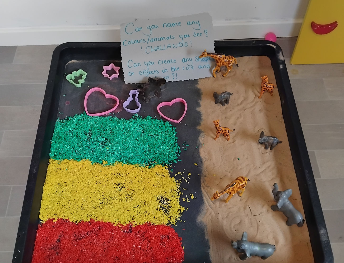 colours and animal kid challenge