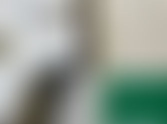 野中アパートで、玄関ドアの塗装を行いました。