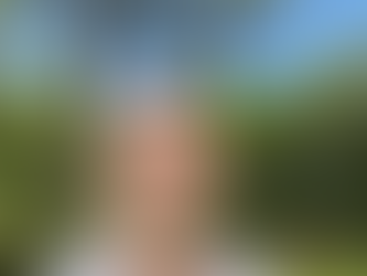 Pesquisador cita Erva-mate como exemplo na conservação de solo