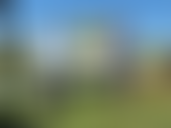 Conservação do Solo no manejo de Erva-mate foi tema na Reunião Sul-brasileira