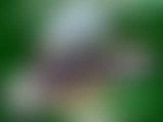 Instituição de ensino realiza mostra de curso em União da Vitória/PR