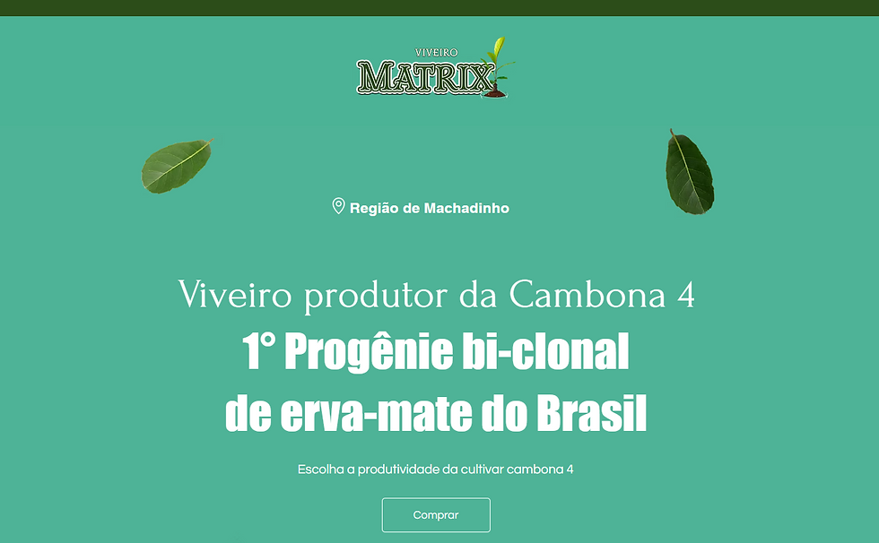 Site Viveiro Matrix