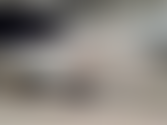 Companhia aérea personaliza avião com atributos do Rio Grande do Sul