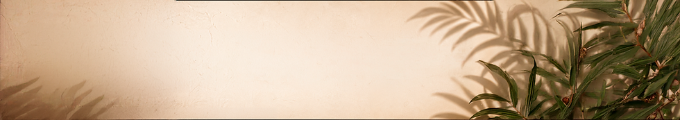 Layout-5Prancheta-2.png