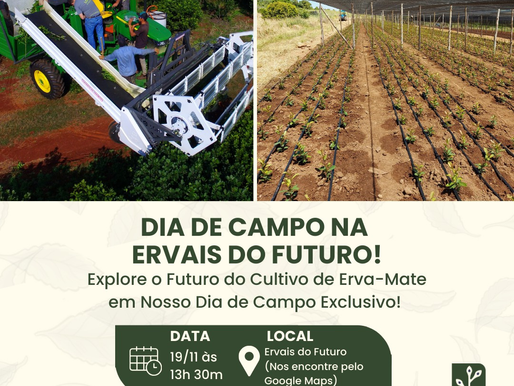 Ervais do Futuro demonstra colheita mecanizada e sistema CEVAD Campo