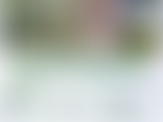 IDR-Paraná promove Dia de Campo sobre Cultivos Florestais, na Lapa