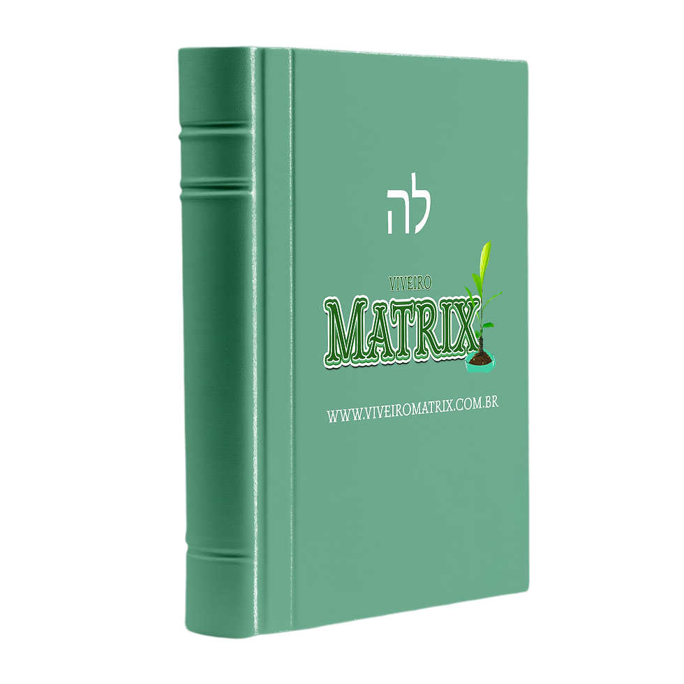 História Viveiro Matrix