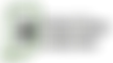 Meet the Student Board of Directors