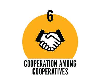 7_Coop_Principles_Infographic_11x17_FINAL-07.png