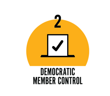 7_Coop_Principles_Infographic_11x17_FINAL-03.png