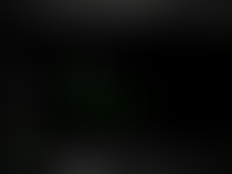 マクロですよ~!