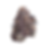 Black Patronus - Hybrid - Dark Purple, Frosty Bud with Orange Hairs