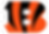 The Bengals suffered the worst defeat in franchise history in their first game since Joe Burrow's injury.