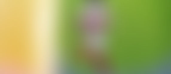 Solving the NFL's Running Back Pay Crisis