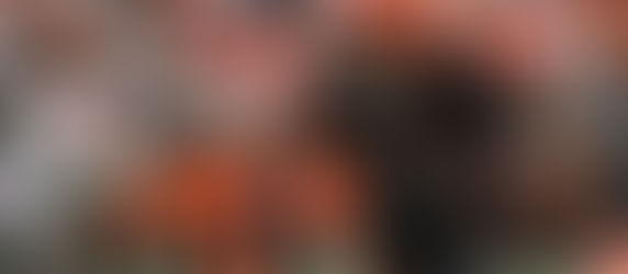 Bengals Crush Cardinals to Extend Late-Season Surge