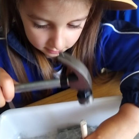 Arqueólogos por un día